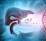 שחמת הכבד: הטיפולים האפשריים-תמונה